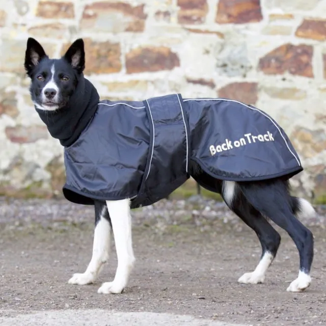 Back on Track Hundedekken Whippet