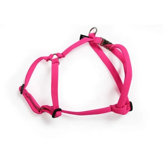 Basic Sweet sele med metall lås XS