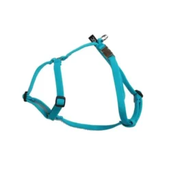 Basic Sweet sele med metall lås XS