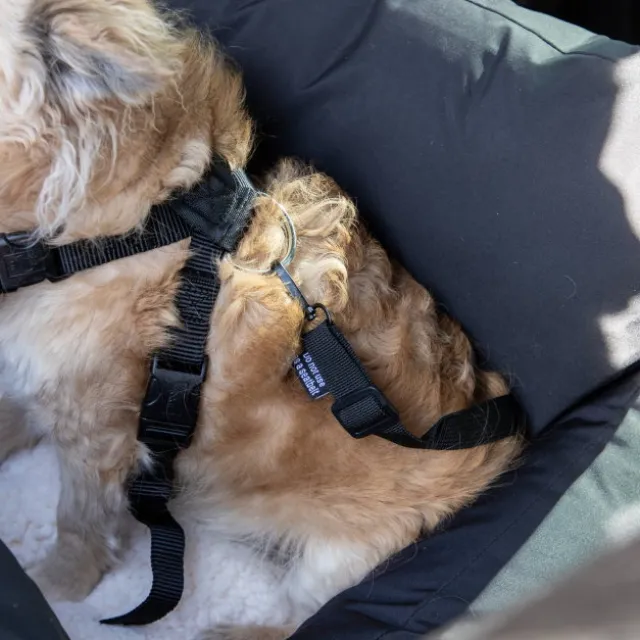 Basic Travel Hundeseng for bilsete