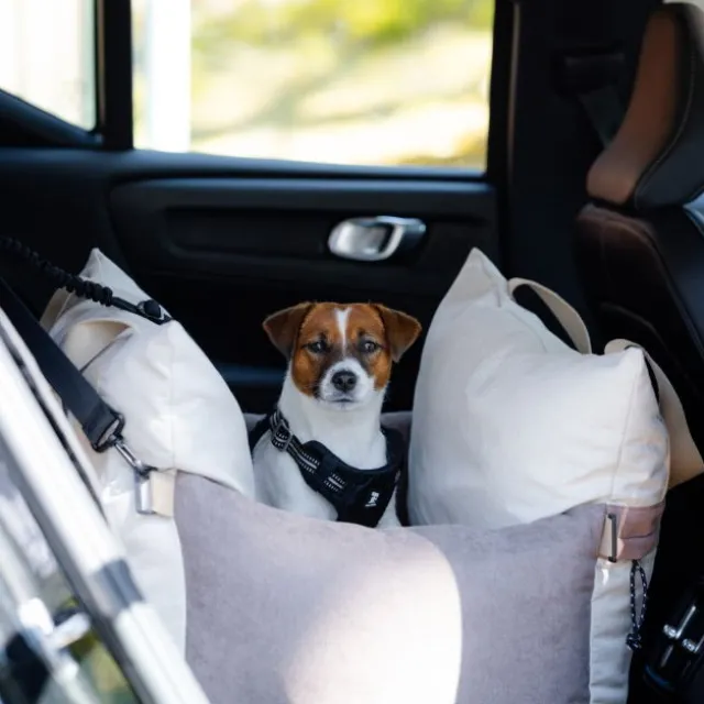 Basic Travel hundeseng for bilsete