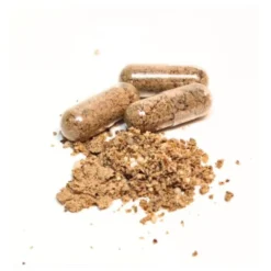 Bellylabs Pre+Pro 60 Kapsler