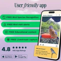 Birdbuddy Fôrautomat med Kamera Blå