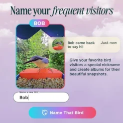 Birdbuddy Fôrautomat med Kamera Blå