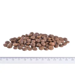 Brit Care Mini Grain Free Adult Sensitive Venison