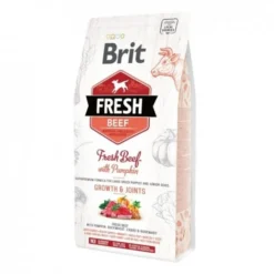 Brit Fresh Beef with Pumpkin Puppy Large