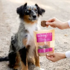 Buddy Petfoods Hjorteburgere 100 g