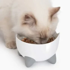 Catit Pixi Combo sett drikkefontene & hevet matskål hvit