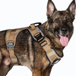 Cerberos Active Hundesele Beige