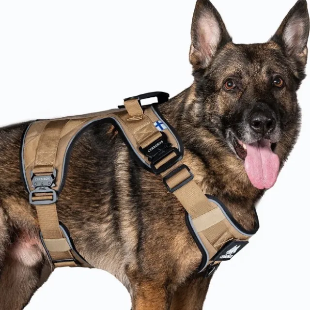 Cerberos Active Hundesele Beige