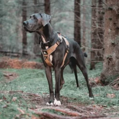 Cerberos Active Hundesele Beige