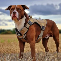 Cerberos Tactical Hundesele Beige