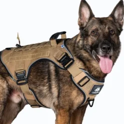 Cerberos Tactical Hundesele Beige