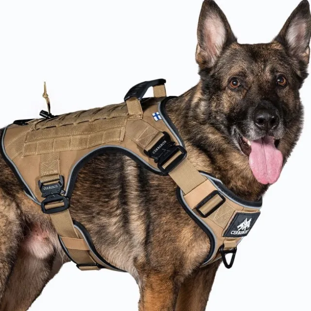 Cerberos Tactical Hundesele Beige