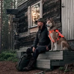 Cerberos Tactical Rescue Hundesele Orange