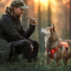 Cerberos Tactical Rescue Hundesele Orange