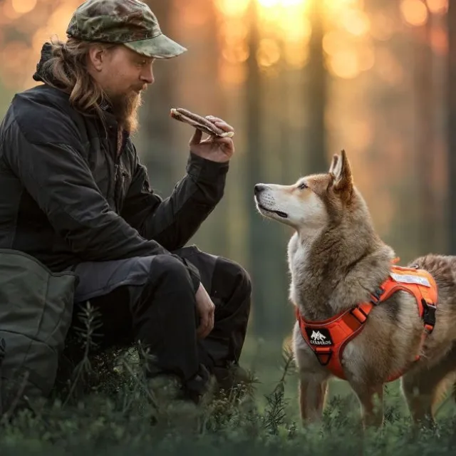 Cerberos Tactical Rescue Hundesele Orange