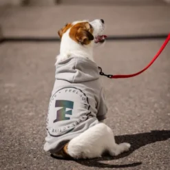 Feel Active Bromma hettegenser til hund grå
