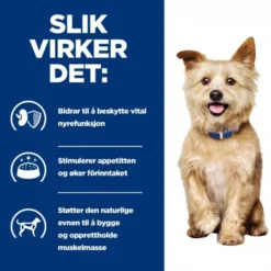 Hill's Prescription Diet Canine k/d Kidney Care Original