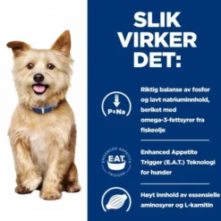 Hill's Prescription Diet Canine k/d Kidney Care Original