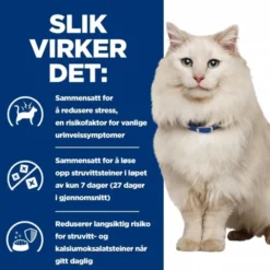 Hill's Prescription Diet Feline c/d Urinary Care Multicare Stress Chicken