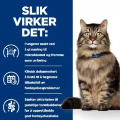 Hill's Prescription Diet Feline Gastro Biome Chicken