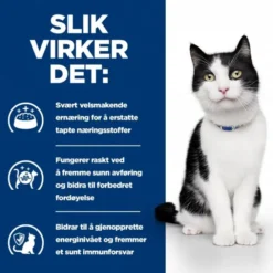 Hill's Prescription Diet Feline i/d Digestive Care Chicken 156 g