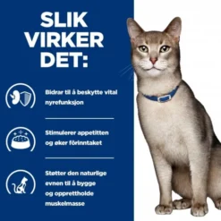Hill's Prescription Diet Feline k/d Kidney Care Chicken 12x85 g