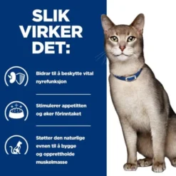 Hill's Prescription Diet Feline k/d Chicken 156 g