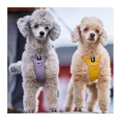 Hurtta Seeker harness honey
