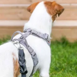 Hurtta Venture No-Pull Hundesele Oransje