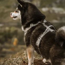 Hurtta Venture No-Pull Hundesele, Grå