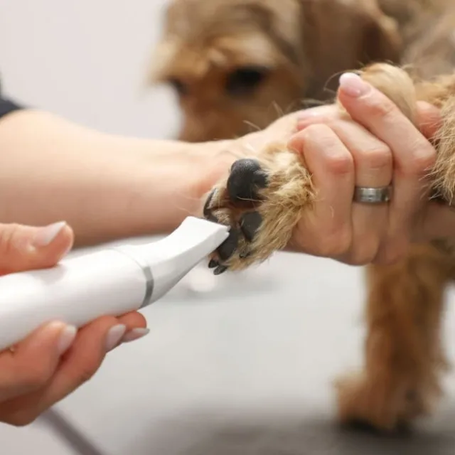 Kerbl Pet Battery Multi-Trimmer 4-in-1
