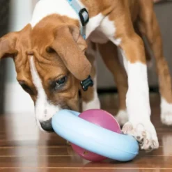 KONG Gyro Puppy Assorted S