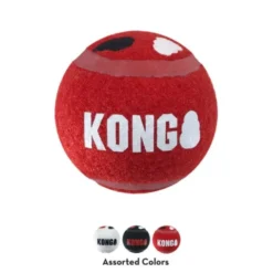 KONG Signature Baller L 2-pk