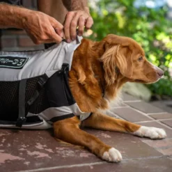 K9 Sport Sack Knavigate, Lys grå