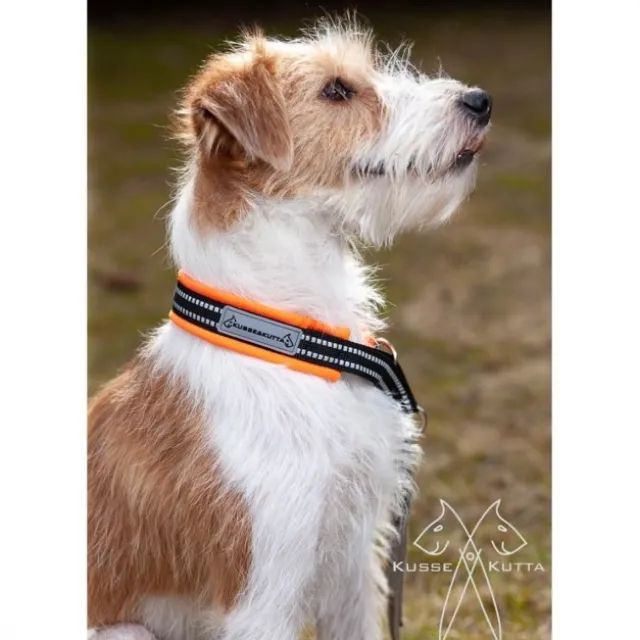 Kusse&Kutta Hundehalsband oransje