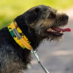 Kusse&Kutta Hundehalsbånd Solsikke