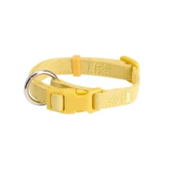Little&Bigger PuppyBasics Taffi Halsbånd Lime