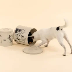 Moomin for Pets Moomin 80 år Oppbevaringsboks for Hund & Katt