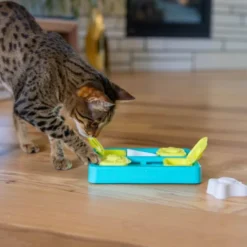 Nina Ottosson Catstages Kitty Cube Game Blå