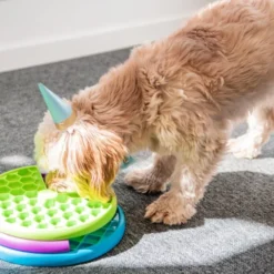 Nina Ottosson Lickin' Layers Slow Feeder Puzzle