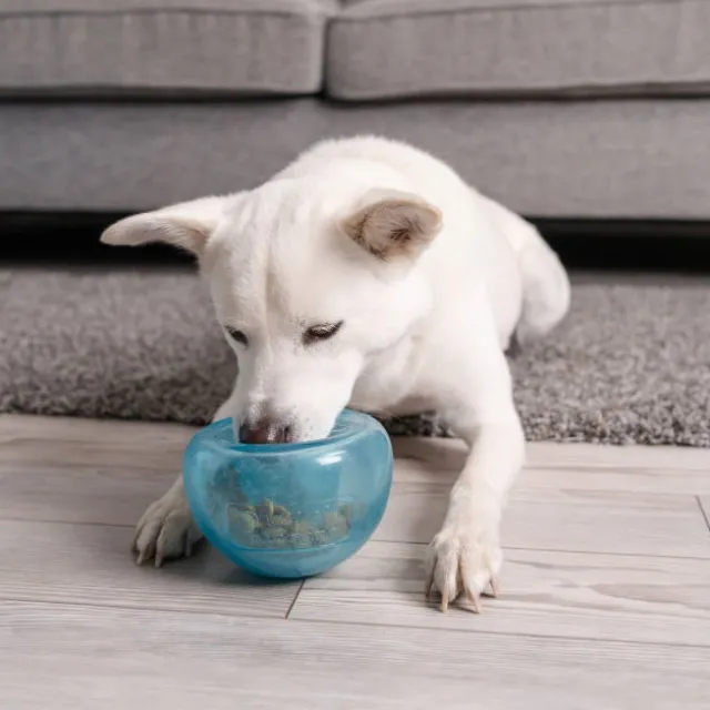 Nina Ottosson Outward Hound Snoop light blue