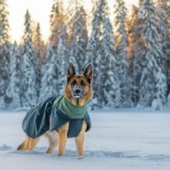 Non-Stop Dogwear Glacier Wool 2.0 Vinterdekken