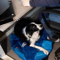 Non-stop Dogwear Ly Sovepose til hund