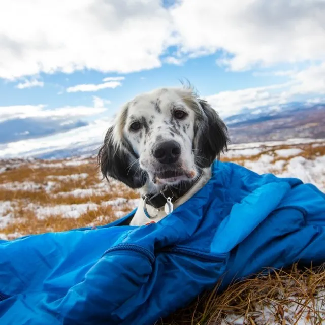 Non-stop Dogwear Ly Sovepose til hund