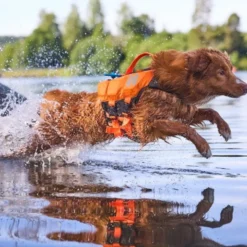 Non-Stop Dogwear Protector Redningsvest til hund, Oransje & Svart
