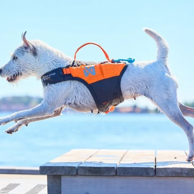Non-Stop Dogwear Protector Redningsvest til hund, Oransje & Svart