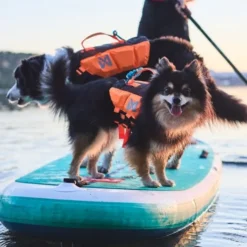 Non-Stop Dogwear Protector Redningsvest til hund, Oransje & Svart