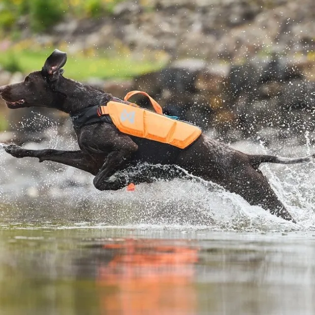 Non-Stop Dogwear Protector Redningsvest til hund, Oransje & Svart